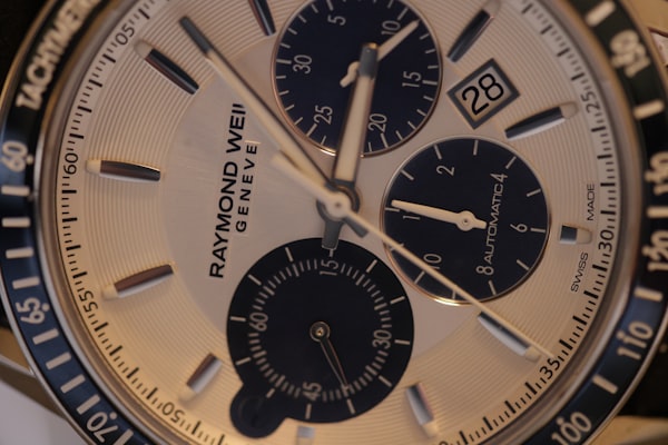 Raymond Modern Watch